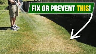 Is Your Lawn Struggling? The SECRET to a Green Lawn All Summer Long