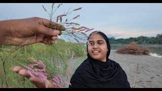 শম্পা নদীর পাড়ে একটা কুড়ে ঘর বানাতে চায় | Doyel Agro | Village life with Shampa