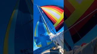 Flying Double spinnaker #sailing #boatlife #boat