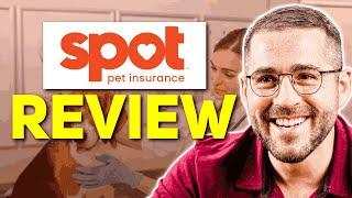 Spot Pet Insurance Review: Is It Really Worth It?