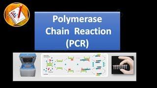 Basic Concepts 01 - Polymerase Chain Reaction (PCR)