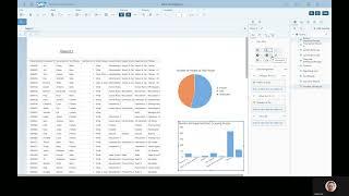 Business Objects Demo | MHR