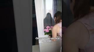 Не в букетах, а в горшках... #дом  #цветы #уют