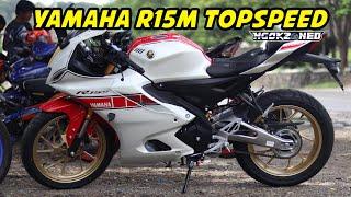 YAMAHA R15M TOP SPEED and REVIEW | PHILIPPINES