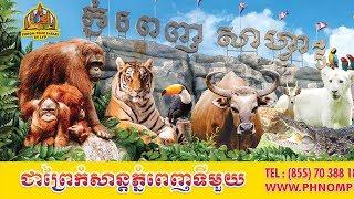 Welcome to Phnom Penh Safari