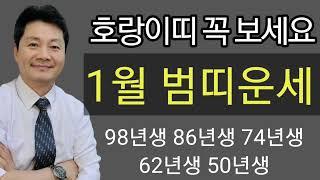 호랑이띠 운세  2025년 을사년 1월달운세 / 종합운 재물운 건강운 애정운  범띠 98년생  86년생 74년생 62년생 50년생 전화상담 및 방문상담 051-805-4999