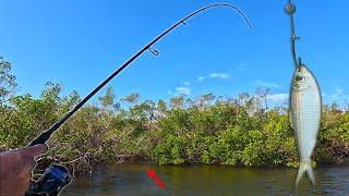 Shocking Change to Inshore Fishing after Hurricanes!