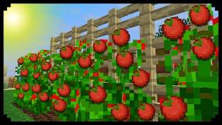  Minecraft: How to make Tomato Plants