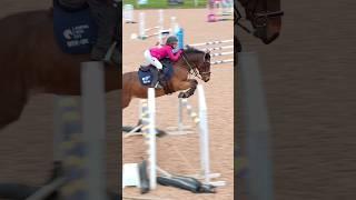 Started jumping x poles to this #horse #equestrian #showjumping #horsegirl #horseriding #pony