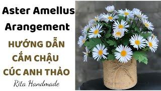 Aster Amellus Arrangement | Hướng Dẫn Cắm Chậu Cúc Anh Thảo | Rita Handmade