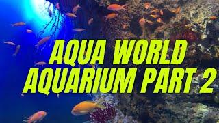 Aqua World Aquarium Ibaraki Oarai (アクアワールド水族館茨城県大洗)