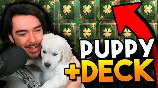 NEW PUPPY + Deck of Fate SUCKS!!! | Raid: Shadow Legends