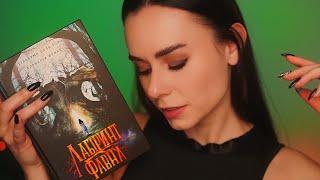 АСМР ЧИТАЄМО Магічний Лабіринт Фавна  Відео ДЛЯ СНУ  ASMR Reading Before Sleep