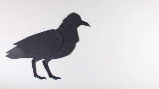 "Tease"- paper cut out animation (Camosun College Film and Animation)