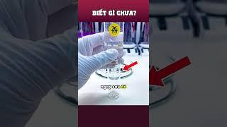 Nhà khoa học đã làm gì với con Virus này