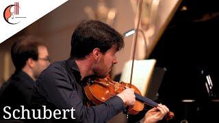 F. Schubert: Piano Trio No. 1 in B-flat Major Op. 99, D. 898