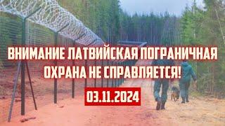 ВНИМАНИЕ ЛАТВИЙСКАЯ ПОГРАНИЧНАЯ ОХРАНА НЕ СПРАВЛЯЕТСЯ! | 03.11.2024 | КРИМИНАЛЬНАЯ ЛАТВИЯ