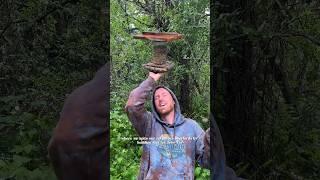 Building a trashy bird feeder #dirtbag #garden #build