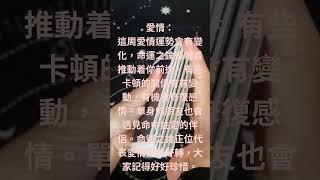 塔羅占卜～每週運勢火象星座運勢（牡羊，獅子，射手）愛情和事業運勢 #塔羅 #每週運勢  #火象星座