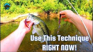 Fish this Technique Right NOW!! Fun and Easy! 10 Inch Worm! North Alabama #bassfishing #fishing