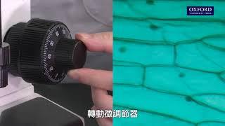 實驗2.1 使用光學顯微鏡