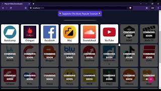 Playvid Online Video Downloader