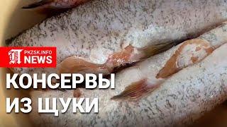 Домашние консервы из щуки и карася, Северный Казахстан