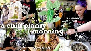 getting some overdue plant chores done 🪴 Plant Chores Vlog