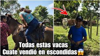 Dios mío Sara se desmayó en plena montada de caballo/todas estas vacas fue las que vendió cuate