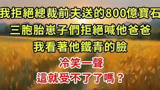 《離婚5年，我帶三胞胎霸氣回國》第08集   ”我拒絕總裁前夫送的800億寶石，三胞胎崽子們拒絕喊他爸爸，我看著他鐵青的臉，冷笑一聲，這就受不了了嗎”