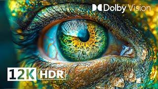 The Craziest 12K Video ULTRA HD HDR Smooth 240fps - Dolby Vision™ 12K HDR