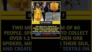 1.2 Mein golden orb #song #funny #memes #trending #comedy #laugh #funnymemes