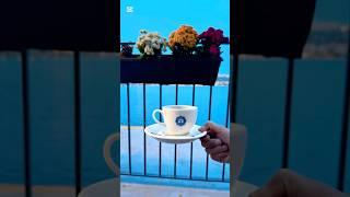 كافيه مخفي على البحر مش كل الناس عارفاه