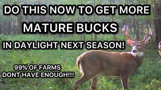 START WORK ON THIS NOW TO MAKE BIG BUCKS USE UR FARM NEXT DEER SEASON