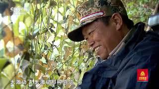 [远方的家]最美是家乡——江西 “鸟类中的大熊猫”——中华秋沙鸭| CCTV中文国际