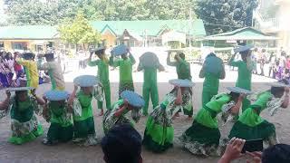 KAWAYAN FESTIVAL (Champion) ¦ SHS-GAS 12 version