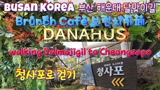 [Busan Korea] Dalmaji Dessert Cafe DANAHUS & Walk to Cheongsapo / 달맞이 디져트 카페 다나휴스 그리고 달맞이 걷기 