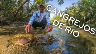 Fishing and cooking along a beautiful crystal-clear river and camping, part 2