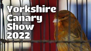 Yorkshire Canary Show 2023