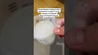 Пожелтевшие огурцы снова позеленеют и дадут 5 тонн огурцов за неделю! #огурцы #сад #огород