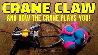 Inside a crane claw, and how the crane plays YOU