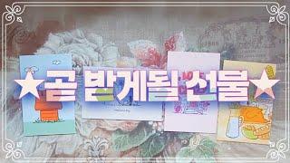 타로특파원 곧 받게 될 선물