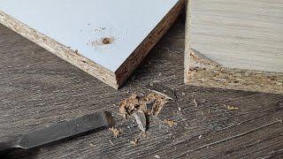 Top 5 damage to particle board furniture | How to fix chipboard furniture ?