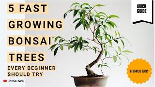 “5 Fast-Growing Bonsai Trees Every Beginner Should Try.”