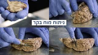 מוזיאון המדע ירושלים - ליל המדענים והמדעניות 2020