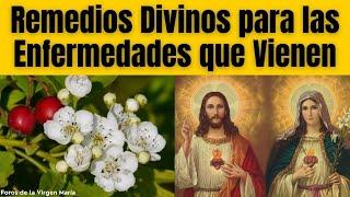 ¡Jesús y María Revelan los Remedios para las Enfermedades del Final de los Tiempos!