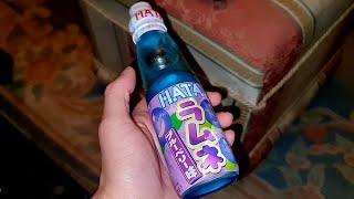 Hata Ramune Blueberry Drink Food Review