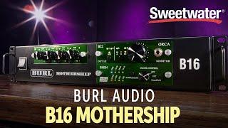 Burl Audio B16 Mothership Modular Converter Overview