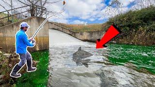 Fishing A DRIED Up Spillway After RECORD RAINFALL!!! (Surprise Catch!)