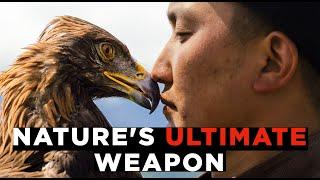 They Hunt Wolves With Eagles?? An EPIC Dive Inside the World Nomad Games.